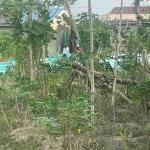 Land in Aba, Abia state (4 and half full plots)